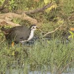 Photo taken by Graham D