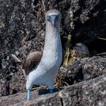 Photo taken by Vinay K