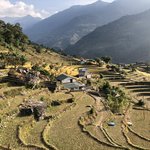 Trek down to Nayapul from Ghandruk | Photo taken by matthew h