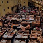 Photo taken by Lisa R