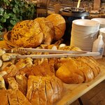 Photo taken by Wanda H