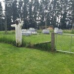 Photo taken by kevin c