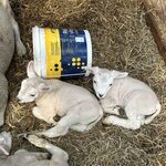 Photo taken by Jennifer D