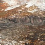 Photo taken by Graeme W