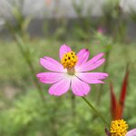 Photo taken by Paul F