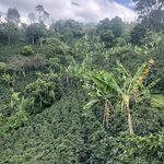 Photo taken by Weston L