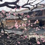 Photo taken by Kimberly M