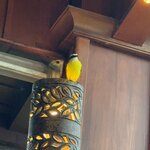 Photo taken by Harshida P