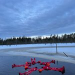 Photo taken by Emily F