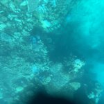 Photo taken by Cindy H