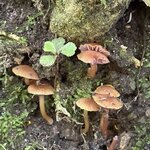 Photo taken by Mary B