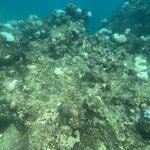 Photo taken by Cindy H