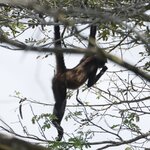 Photo taken by Joyce C