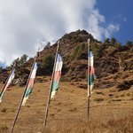 Photo taken by Amy S