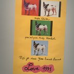 Photo taken by Nancy S