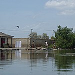 Photo taken by Janice B