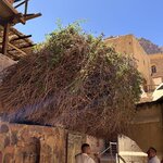 Photo taken by Maryann S