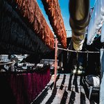 Photo taken by Terrence Y