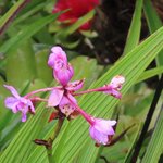 Photo taken by Pat K