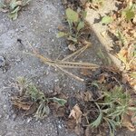 Photo taken by Monika S