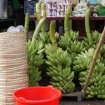 Photo taken by Peter J