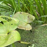 Photo taken by Breann B