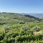 Photo taken by Daniel C