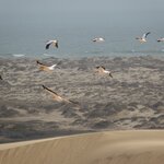 Photo taken by Sandro P