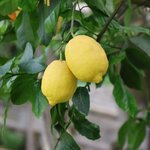 Photo taken by Kris B