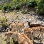 Photo taken by Braedon G