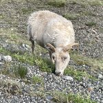 Photo taken by Felicia L