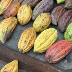 Photo taken by Lauren A