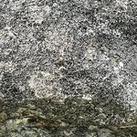 Photo taken by Jared B