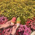 Photo taken by Kaya W