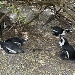 Photo taken by Christopher F