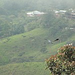 Photo taken by Marcia G