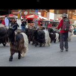 Photo taken by Shawn S