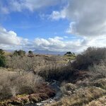 Photo taken by Marcy B