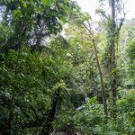 Photo taken by Jeffrey B