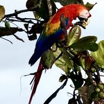 Photo taken by Mary D