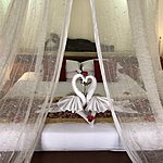 Photo taken by Shang-Wei P