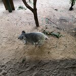 Photo taken by Mohan I