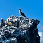 Photo taken by Katarzyna W