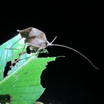 Photo taken by Sheila G