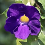 Photo taken by Steve W