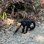 Photo taken by Sushma S