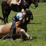 Photo taken by Eric T