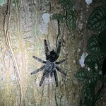 Photo taken by Kakoli K