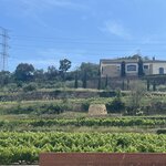 Photo taken by Natalia A