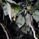 Photo taken by Bryan D